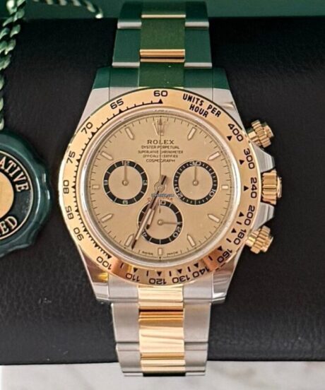 Rolex Daytona 126503 Champagne New 2026